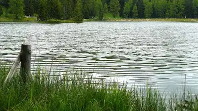 река, фото - Новости Zakon.kz от 26.08.2023 11:30