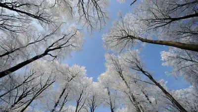 Zakon.kz, фото - Новости Zakon.kz от 28.01.2015 14:48