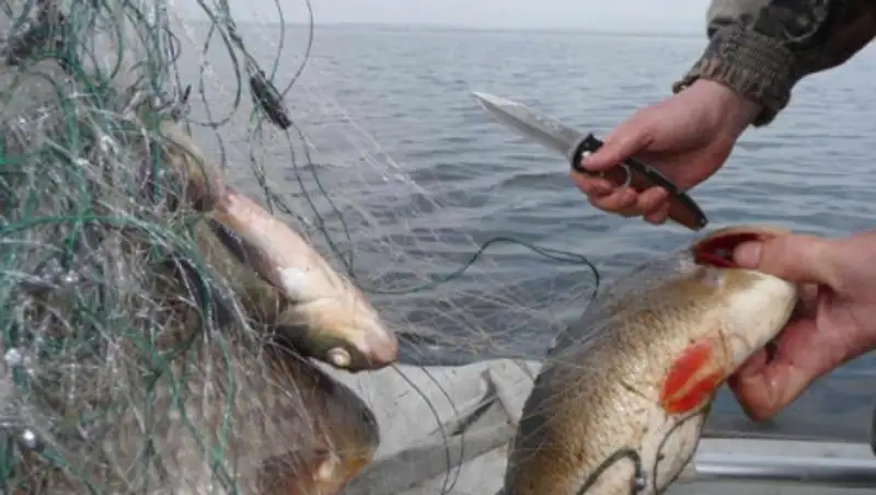 Инспекторский состав был замешан в деятельности ОПГ на озере Маркаколь