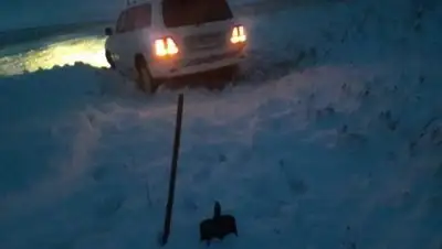 Zakon.kz, фото - Новости Zakon.kz от 13.12.2016 15:53