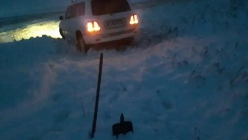 Астанчанка откликнулась на призыв о помощи в соцсетях и спасла из бурана незнакомого человека