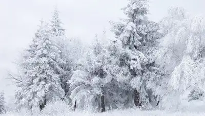 Википедия, фото - Новости Zakon.kz от 23.11.2018 12:30