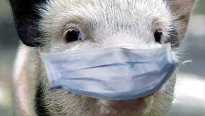 Zakon.kz, фото - Новости Zakon.kz от 17.09.2017 02:01