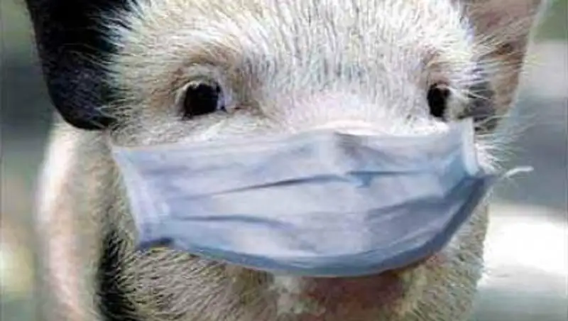 В ДНР запретили украинское сало