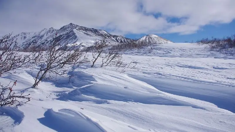 Сильный ветер и снег – прогноз погоды на 27 января