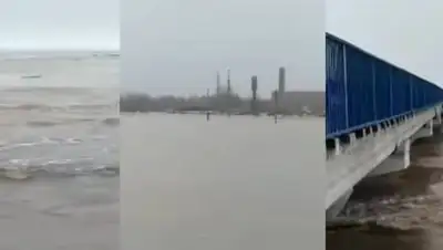 скриншот, фото - Новости Zakon.kz от 11.04.2021 18:52