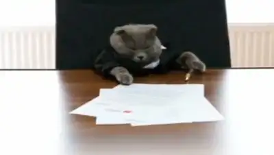 Zakon.kz, фото - Новости Zakon.kz от 22.07.2015 02:13