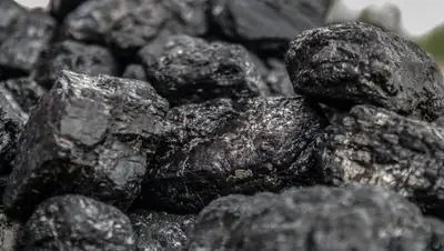 Фото: pkzsk.info, фото - Новости Zakon.kz от 30.01.2018 14:33