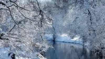зима , фото - Новости Zakon.kz от 27.01.2022 15:36