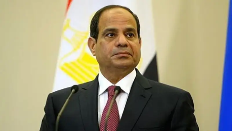 Египет и Тунис выступают за политическое решение сирийского кризиса