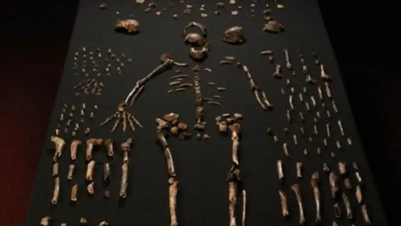 Первобытный человек оказался гораздо моложе, чем полагали