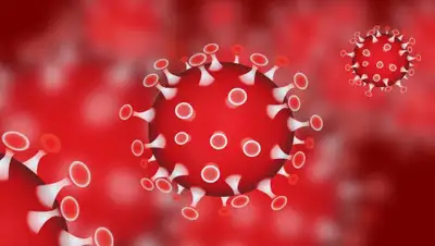 Хабар 24, фото - Новости Zakon.kz от 27.04.2020 12:38