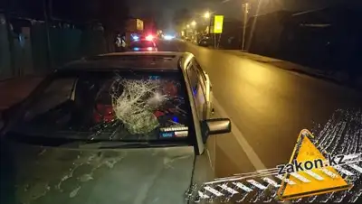 Zakon.kz, фото - Новости Zakon.kz от 02.12.2017 10:37