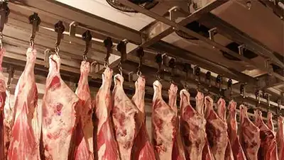 Zakon.kz, фото - Новости Zakon.kz от 08.11.2013 17:44