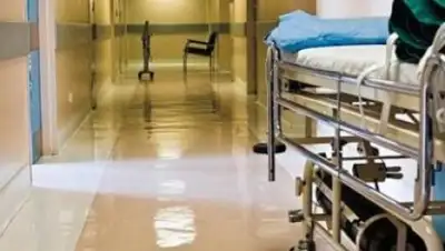 Zakon.kz, фото - Новости Zakon.kz от 18.05.2016 18:03