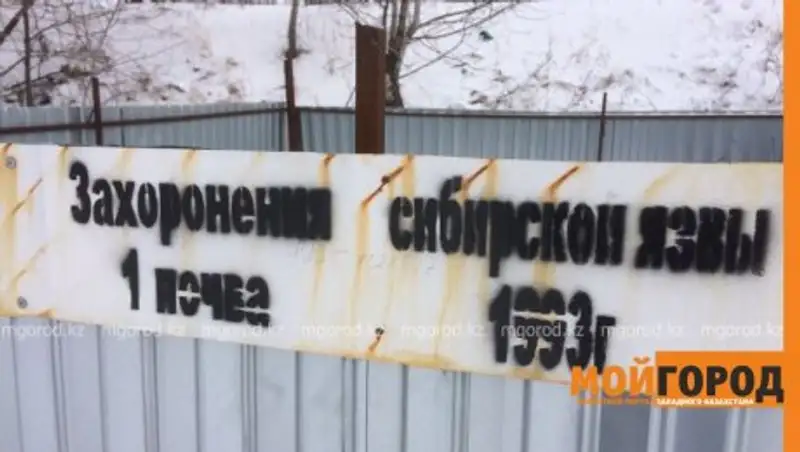 В Уральске захоронение сибирской язвы находится в дачном массиве