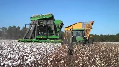 Zakon.kz, фото - Новости Zakon.kz от 11.10.2017 20:30