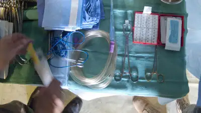 pxhere.com, фото - Новости Zakon.kz от 29.03.2020 23:47