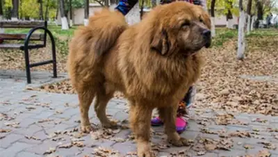 Zakon.kz, фото - Новости Zakon.kz от 21.10.2014 21:40