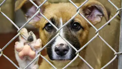 СМИ УВП Астана, фото - Новости Zakon.kz от 20.06.2019 20:10