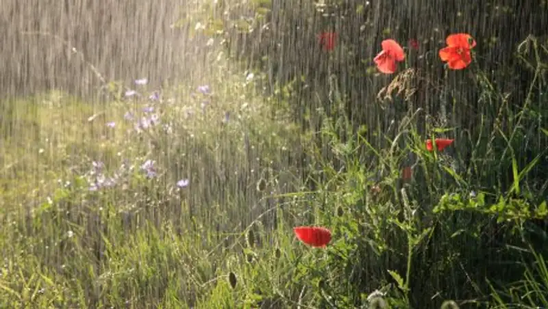 В субботу в Казахстане ожидаются кратковременные дожди