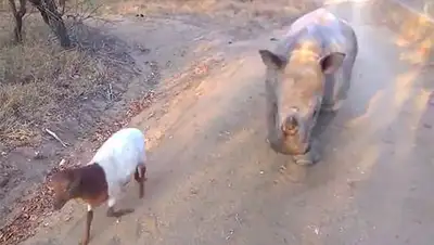 Zakon.kz, фото - Новости Zakon.kz от 20.10.2014 18:18