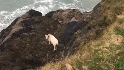 Zakon.kz, фото - Новости Zakon.kz от 22.03.2017 05:13