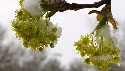 штормовое предупреждение, ряд областей Казахстана, фото - Новости Zakon.kz от 29.04.2022 21:34