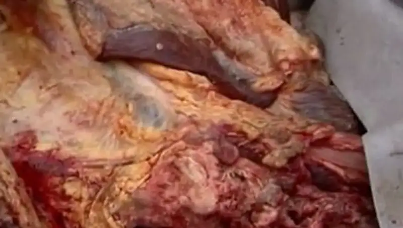 В противотуберкулезный санаторий снова привезли некачественное мясо