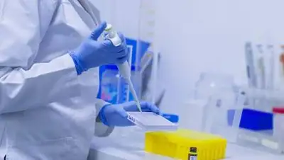 pixabay.com, фото - Новости Zakon.kz от 31.07.2021 15:49