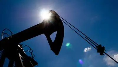 Zakon.kz, фото - Новости Zakon.kz от 04.11.2017 07:56