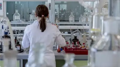 НСН, фото - Новости Zakon.kz от 06.03.2020 08:15