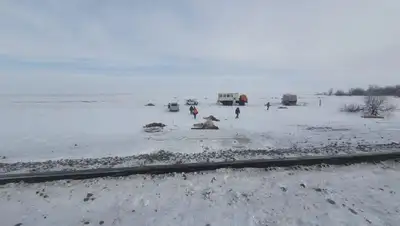 нур-султан, железная дорога, табун лошадей, дп на транспорте, фото - Новости Zakon.kz от 18.03.2022 16:44