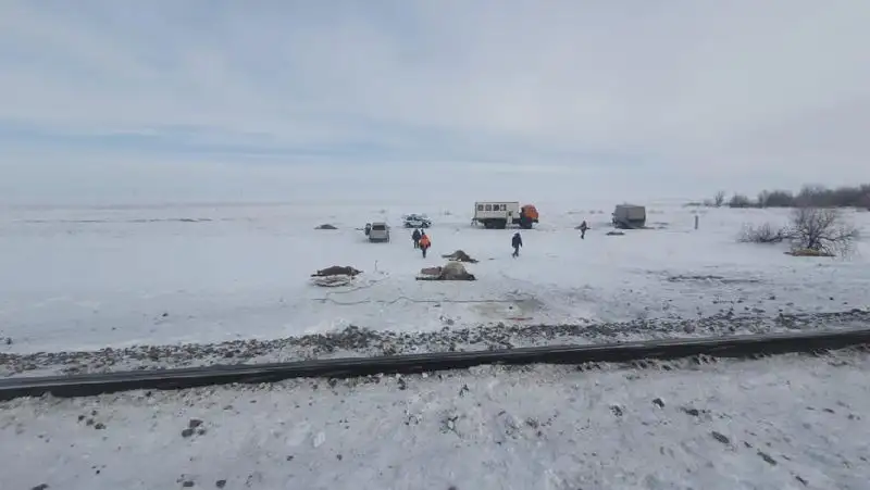 Табун лошадей попал под поезд недалеко от Нур-Султана