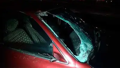 Zakon.kz, фото - Новости Zakon.kz от 26.02.2014 17:35