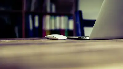 В Казахстане вдвое увеличилось число россиян, приезжающих работать, фото - Новости Zakon.kz от 13.03.2023 16:36