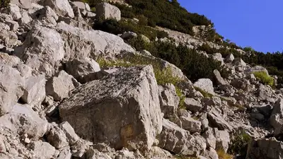 Оползень в Грузии: число жертв выросло до 17 человек, фото - Новости Zakon.kz от 06.08.2023 05:17