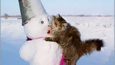 Zakon.kz, фото - Новости Zakon.kz от 26.12.2014 14:46