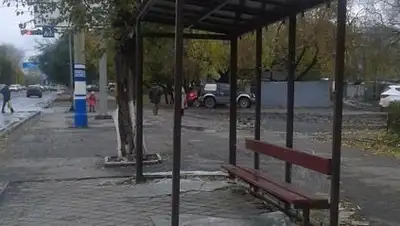 Zakon.kz, фото - Новости Zakon.kz от 08.10.2014 03:30