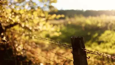 Zakon.kz, фото - Новости Zakon.kz от 27.08.2016 12:04