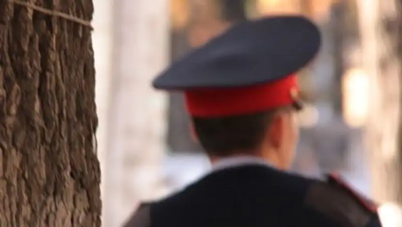 В Карагандинской области полицейские задержали преступника, укравшего ворота