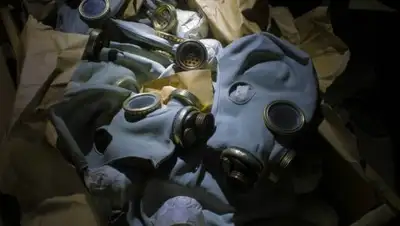 © СС0, фото - Новости Zakon.kz от 25.11.2018 17:45