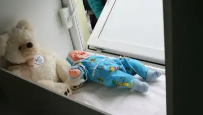 Zakon.kz, фото - Новости Zakon.kz от 15.03.2017 18:02