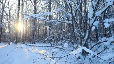 Zakon.kz, фото - Новости Zakon.kz от 31.01.2015 15:11