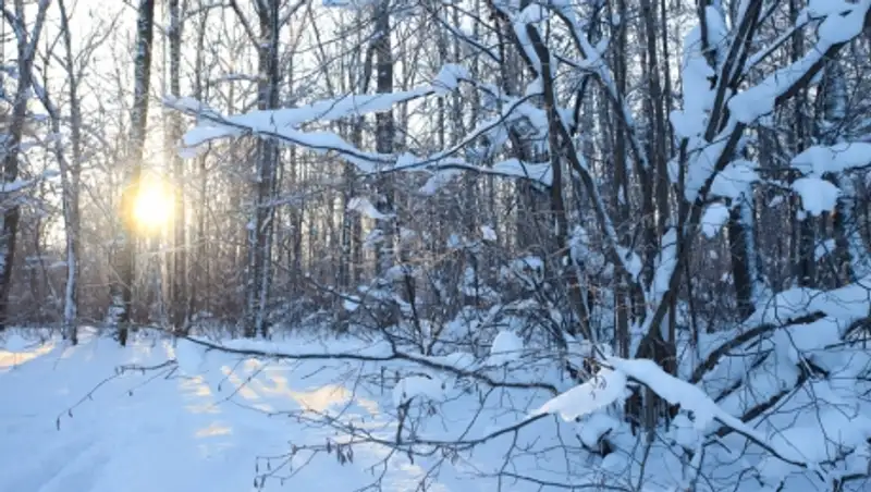 Снег и усиление ветра ожидаются на юге Казахстана в субботу
