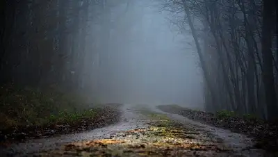 прогноз, температура , фото - Новости Zakon.kz от 03.12.2021 17:55