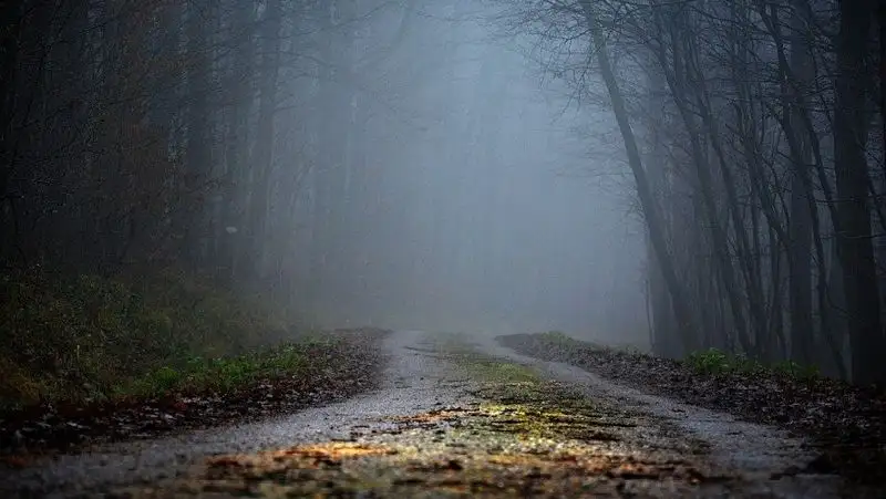 Туман накроет шесть областей Казахстана