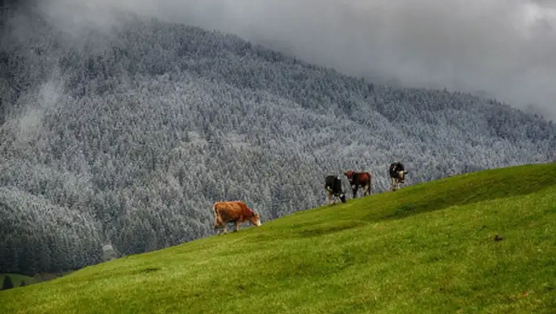 1 октября в некоторых регионах ожидаются заморозки