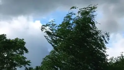 ysia.ru, фото - Новости Zakon.kz от 13.06.2018 09:35