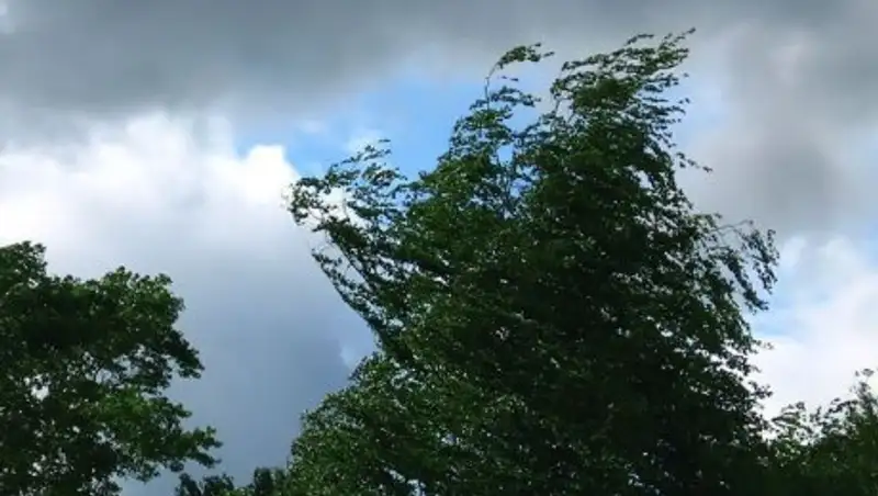 Ветреная погода ожидается в ряде регионов Казахстана